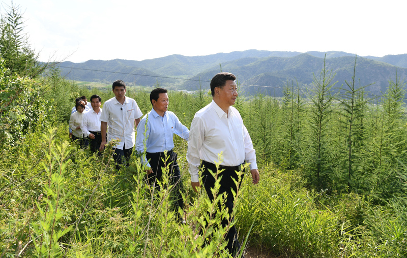 7月15日至16日，中共中央總書記、國家主席、中央軍委主席習近平在內蒙古考察并指導開展“不忘初心、牢記使命”主題教育。這是15日下午，習近平在赤峰市喀喇沁旗馬鞍山林場林區，沿著崎嶇的護林小道察看林木長勢。
